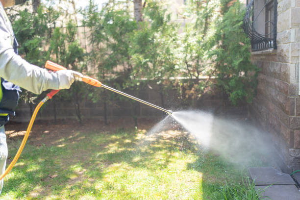 Best Best Pest Control Companies  in Ruleville, MS