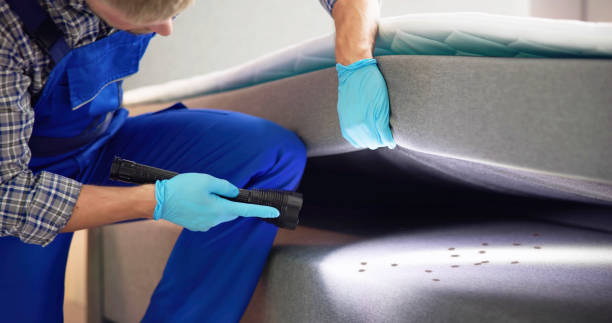 Best Pest Prevention Services  in Ruleville, MS