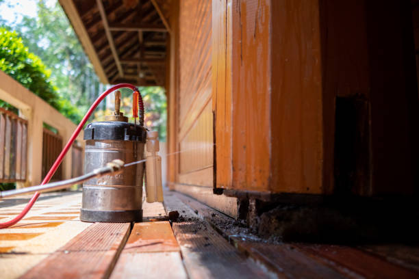 Best Wasp Removal Services  in Ruleville, MS