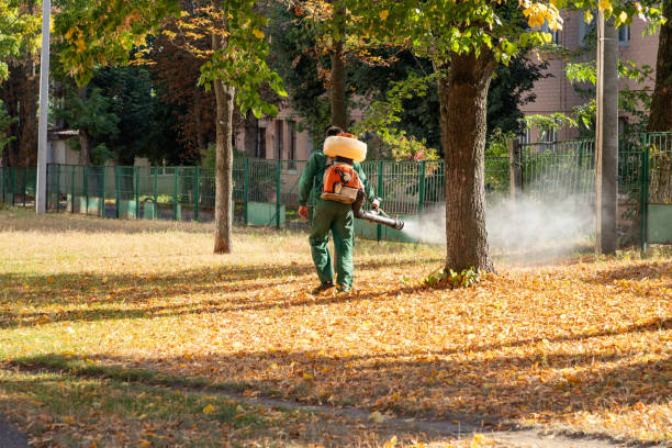 Best Termite Control Services  in Ruleville, MS