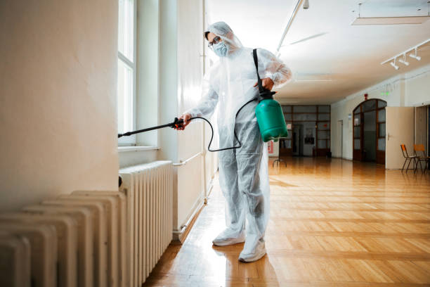Reliable Ruleville, MS Pest Control Solutions