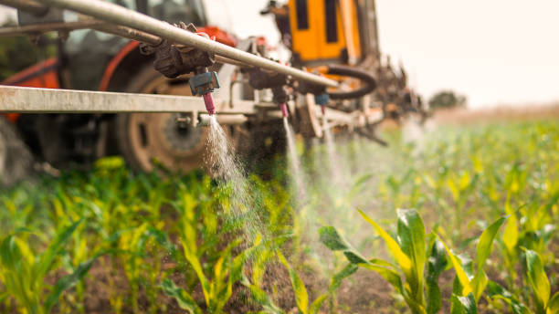 Best Pest Removal Services  in Ruleville, MS