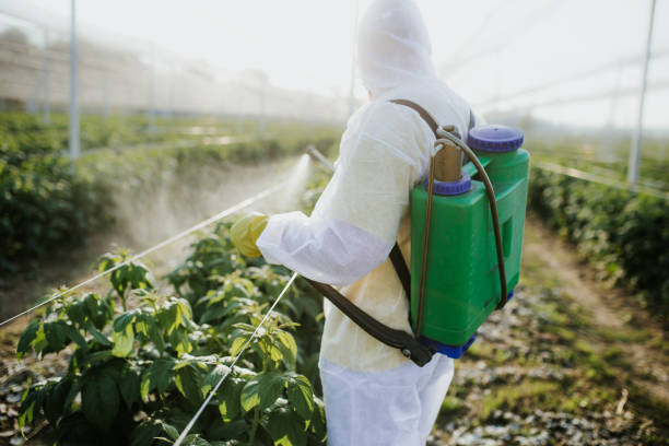 Best Exterminator Services  in Ruleville, MS